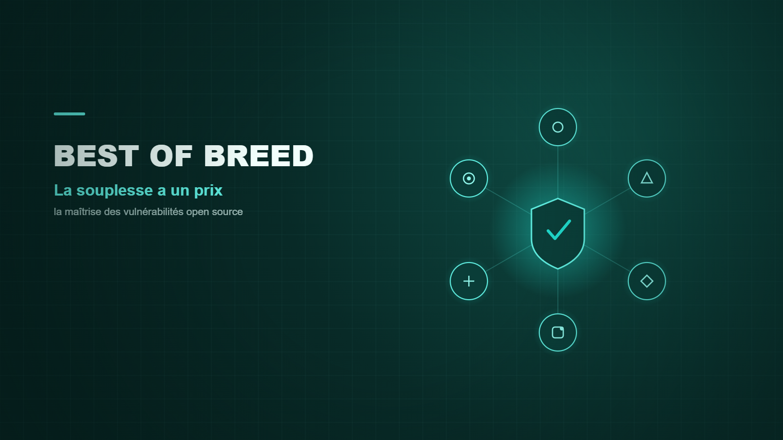Best of breed - la maîtrise des vulnérabilités open source